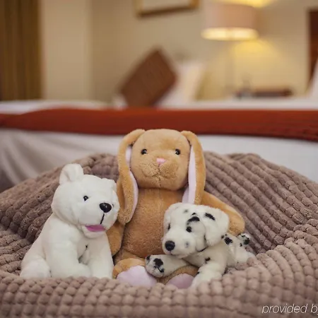 Cassidys 4* Dublin